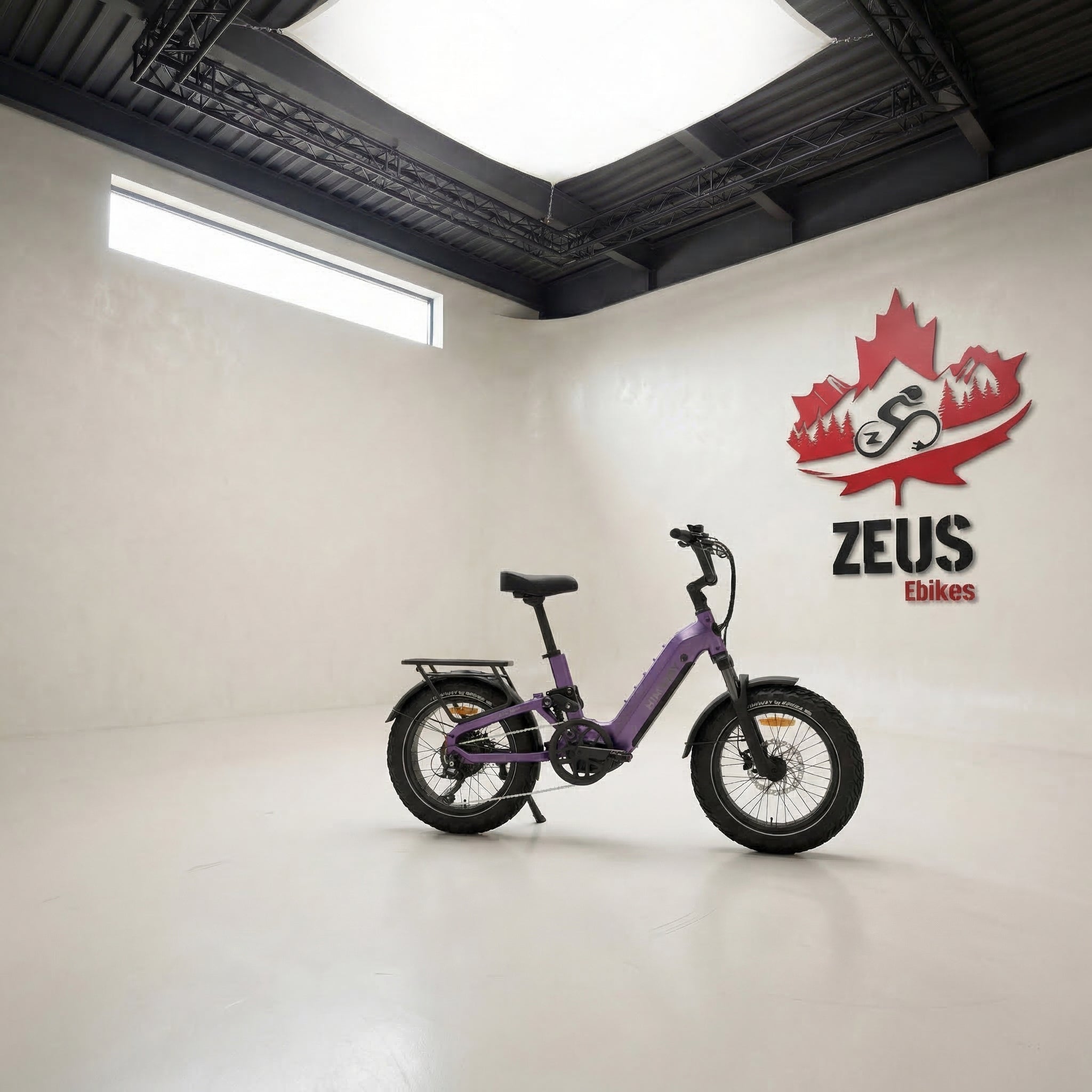 Himiway D5 2.0 20" Full Suspension Fat Tire eBike