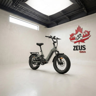 Himiway D5 2.0 20" Full Suspension Fat Tire eBike