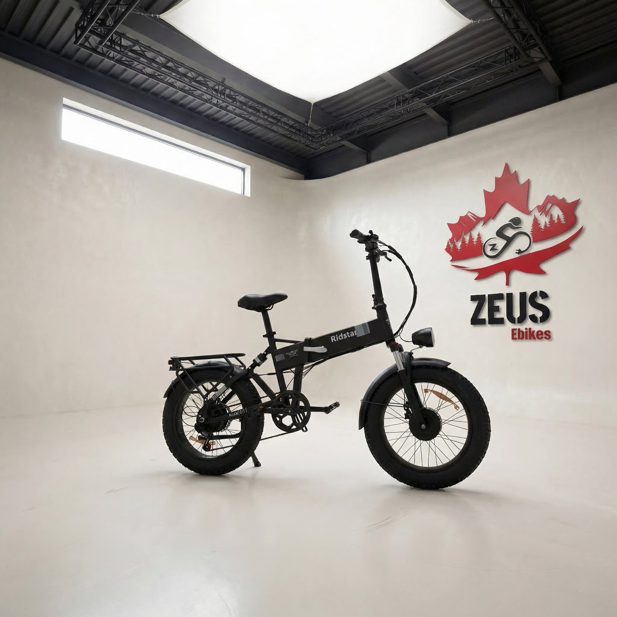 Ridstar H20 Pro Folding Ebike 1000W