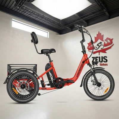 CITYTRI E-310 Electric Trike ( Back in Stock)