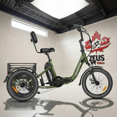 CITYTRI E-310 Electric Trike ( Back in Stock)