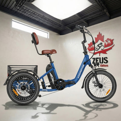 CITYTRI E-310 Electric Trike ( Back in Stock)