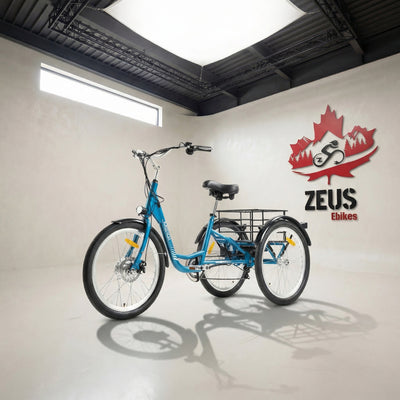 Meigi Hera Electric Trike