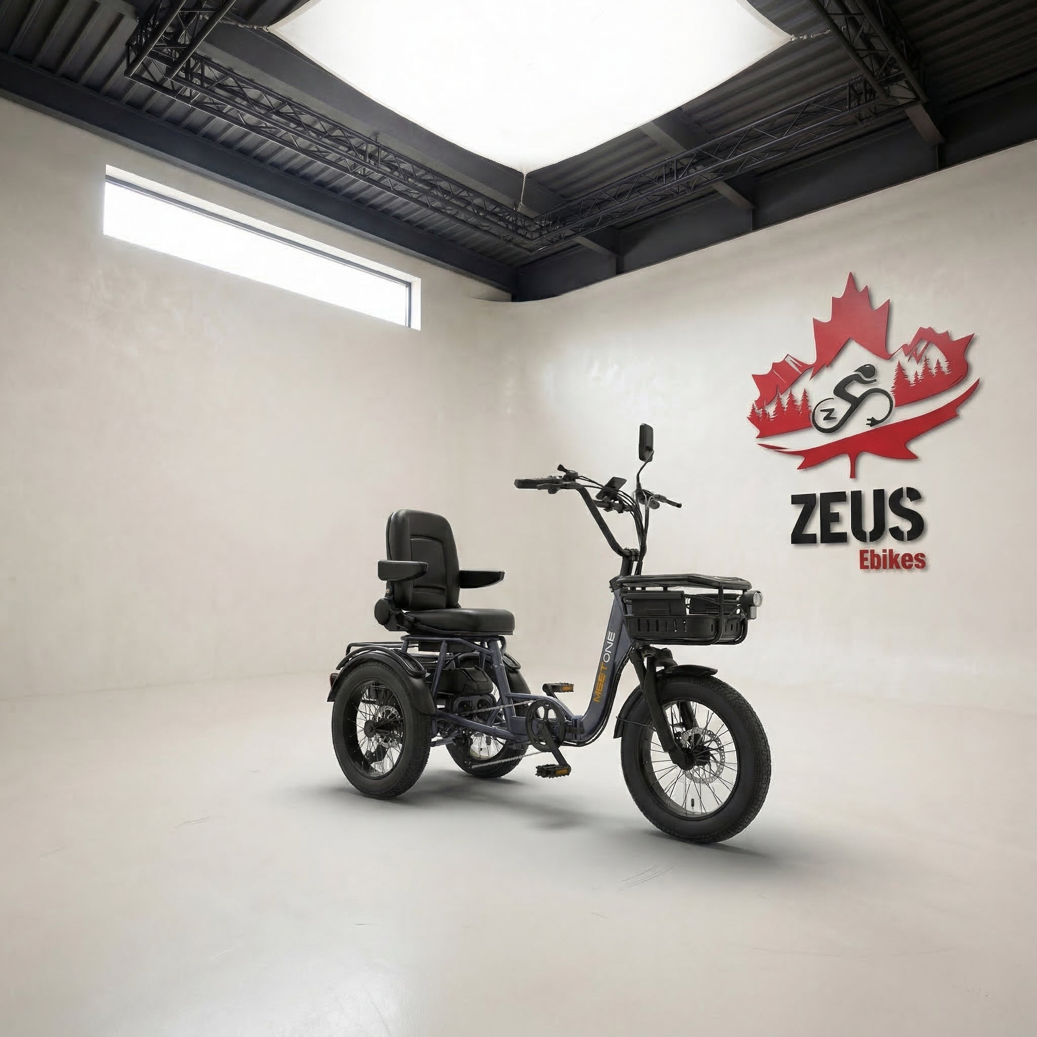 Meet One Breeze Folding Electric Trike – Zeus Ebikes Canada