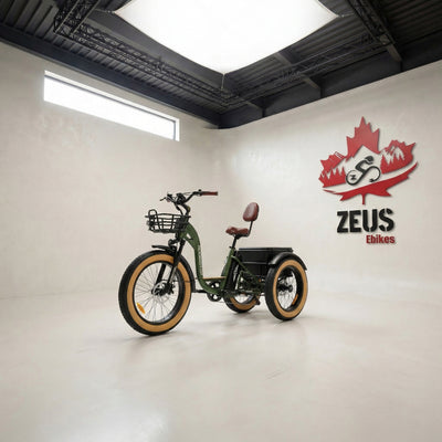 Addmotor Grandtan II 750W 2024 Off Road Electric Trike