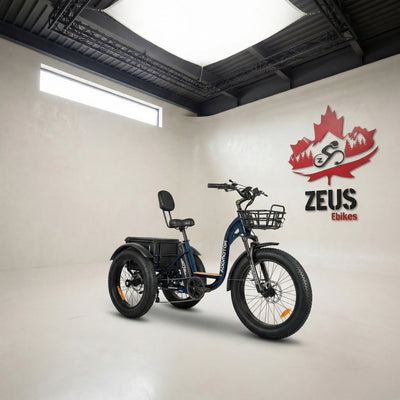 Addmotor Grandtan II 750W 2024 Off Road Electric Trike