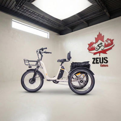 Meigi Blazer 750W Electric Trike
