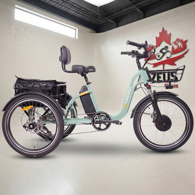 Meigi Blazer 750W Electric Trike