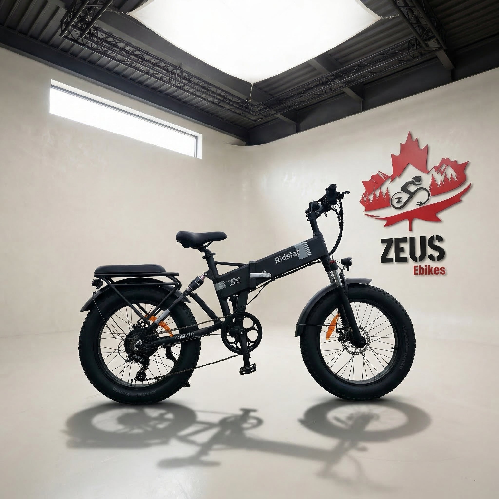 Ridstar H20 1000W Fat Tire Folding Ebike