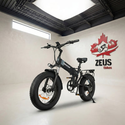 Ridstar H20 1000W Fat Tire Folding Ebike