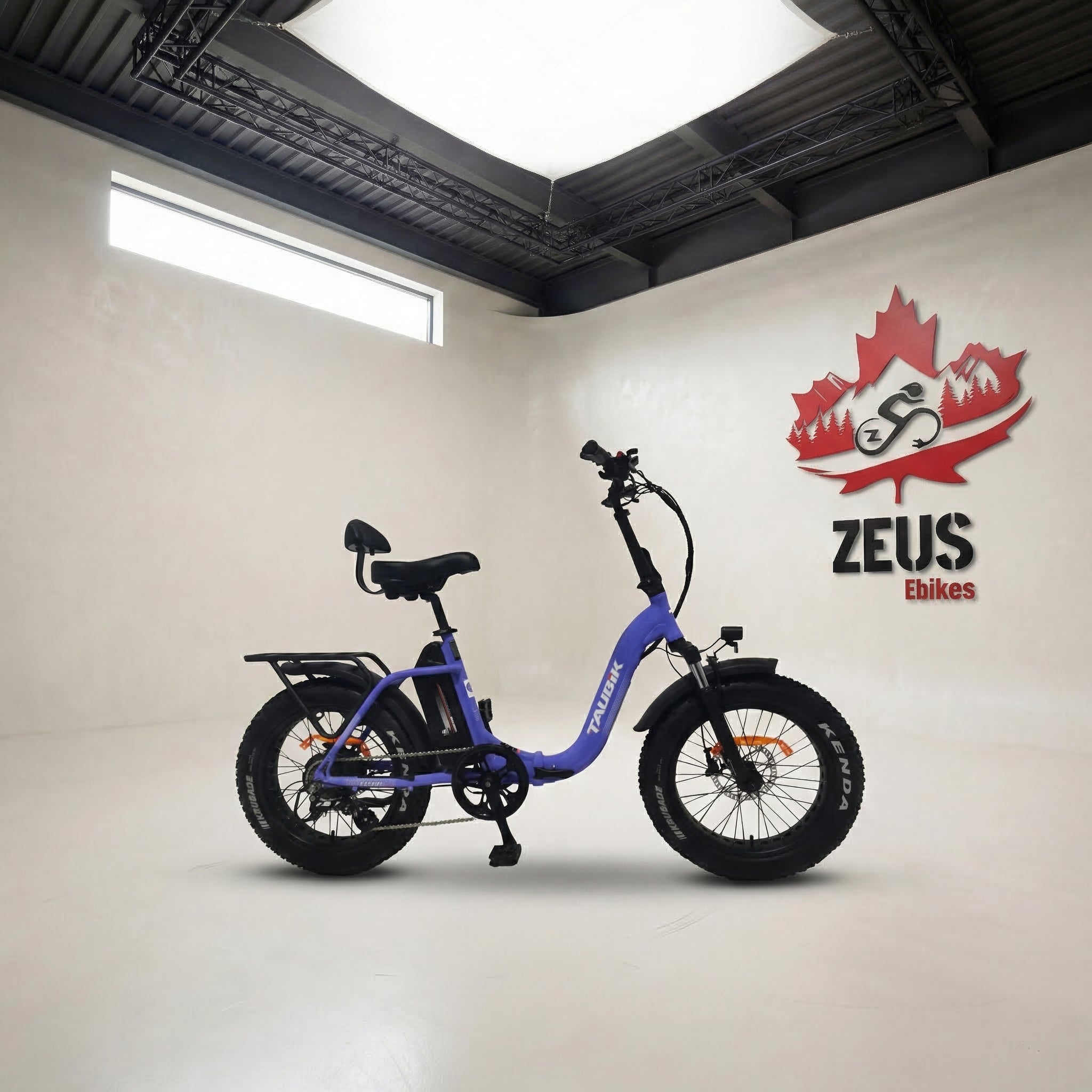 Taubik Escape Folding Ebike (Designed in Canada)