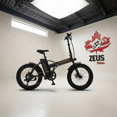 Aostirmotor A20 Fat Tire Folding Ebike