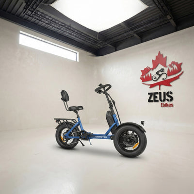Addmotor SpytanX Reverse eTrike