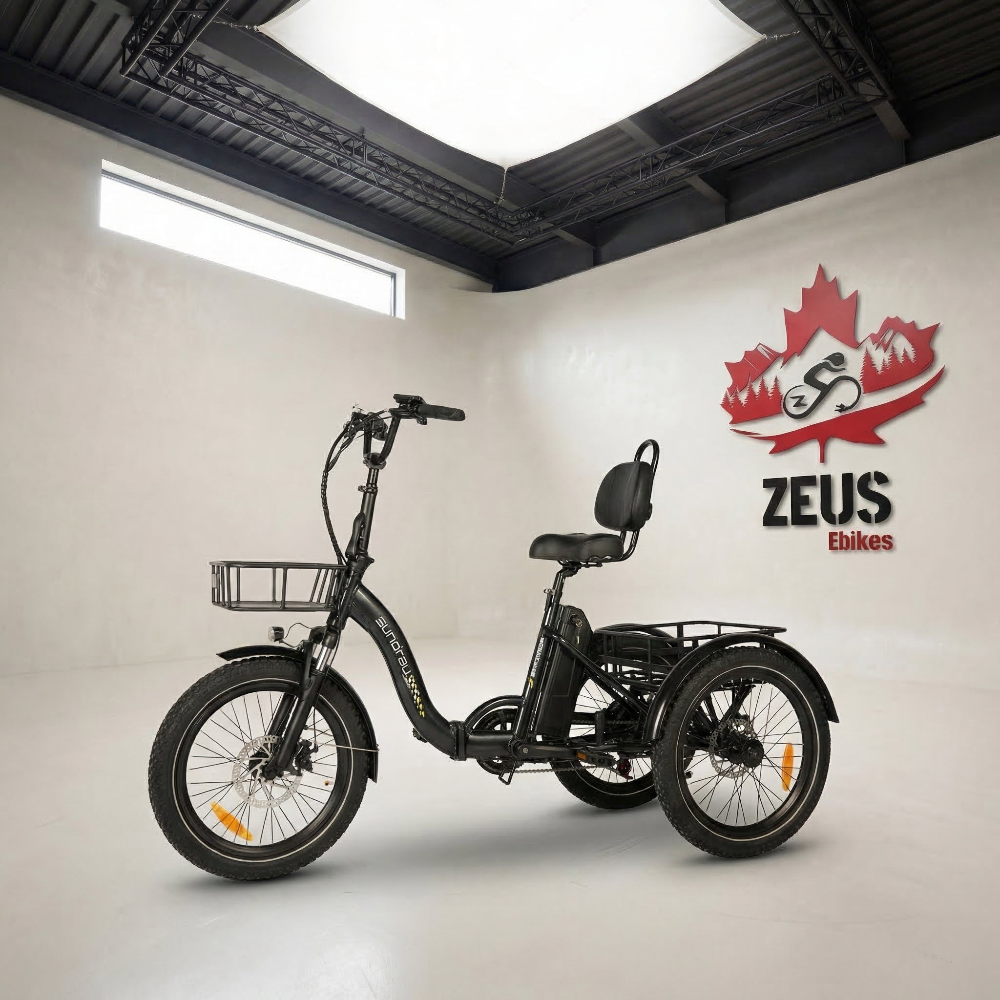 ruriii　エクリュ36 Eunorau ONE-TRIKE 2.0 Electric Trike – Zeus Ebikes Canada