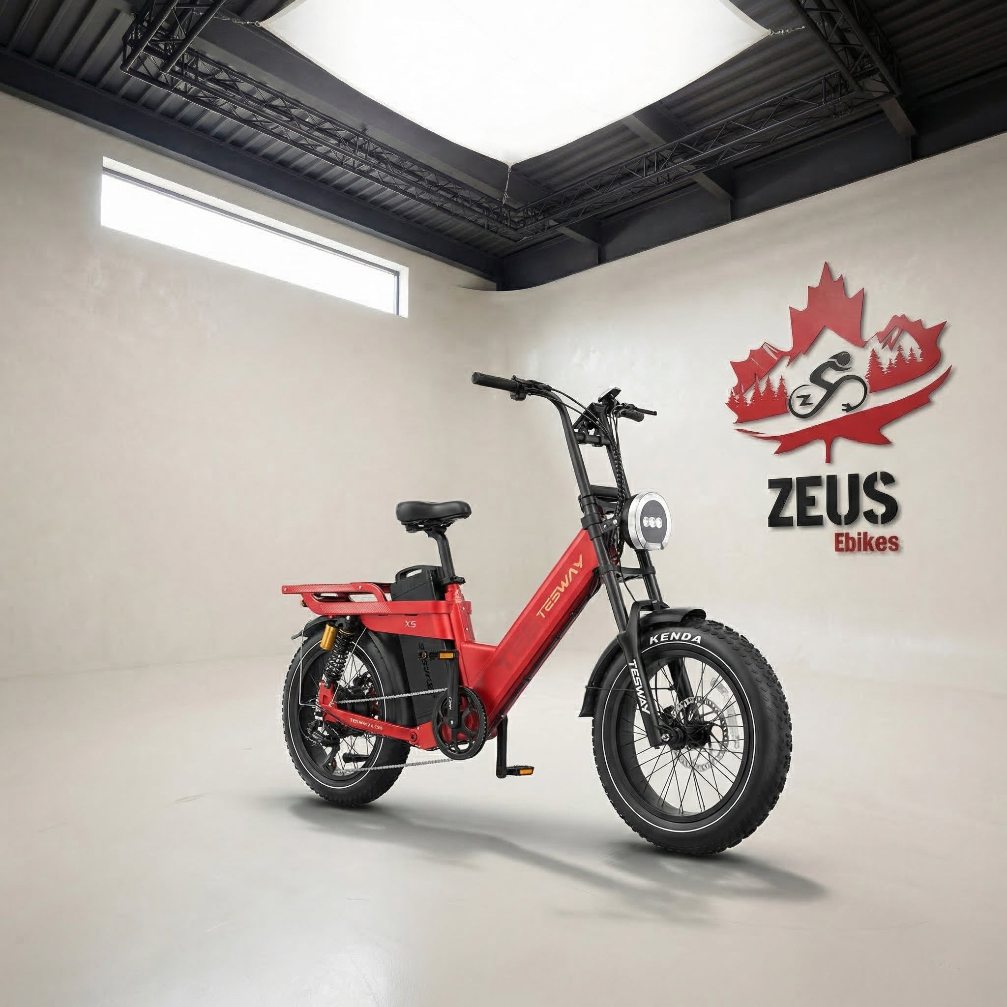 TESWAY X5 AWD Dual Motor Step-Thru Electric Bike (52V 60Ah, 3600W Peak)