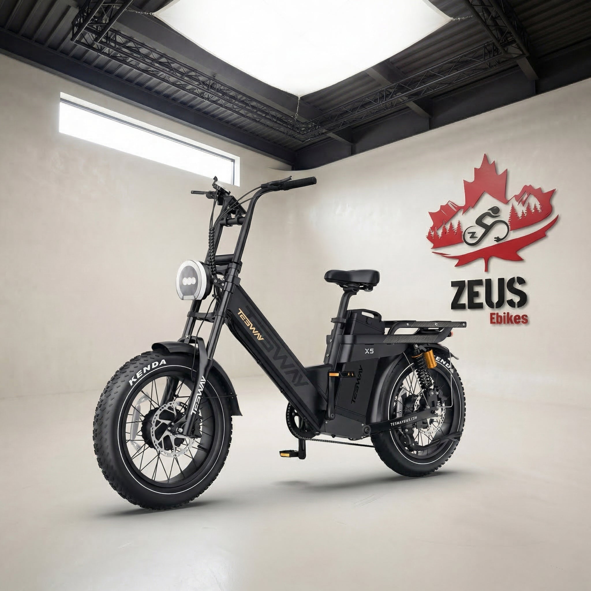 TESWAY X5 AWD Dual Motor Step-Thru Electric Bike (52V 60Ah, 3600W Peak)