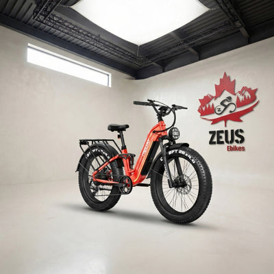 FREESKY Wild Cat Pro A-340 Step-Thru Full-Suspension Fat Tire eBike (1800W Peak)
