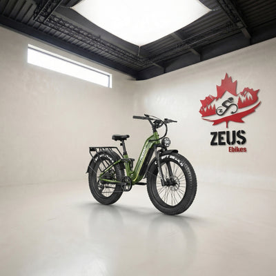 FREESKY Wild Cat Pro A-340 Step-Thru Full-Suspension Fat Tire eBike (1800W Peak)