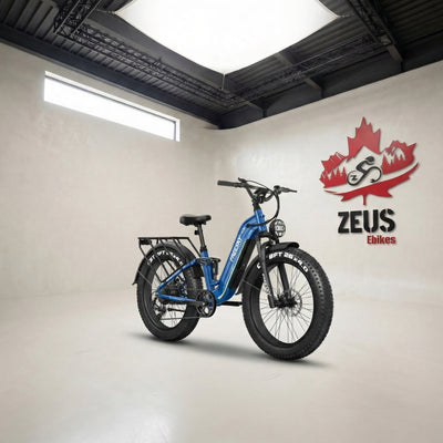 FREESKY Wild Cat Pro A-340 Step-Thru Full-Suspension Fat Tire eBike (1800W Peak)