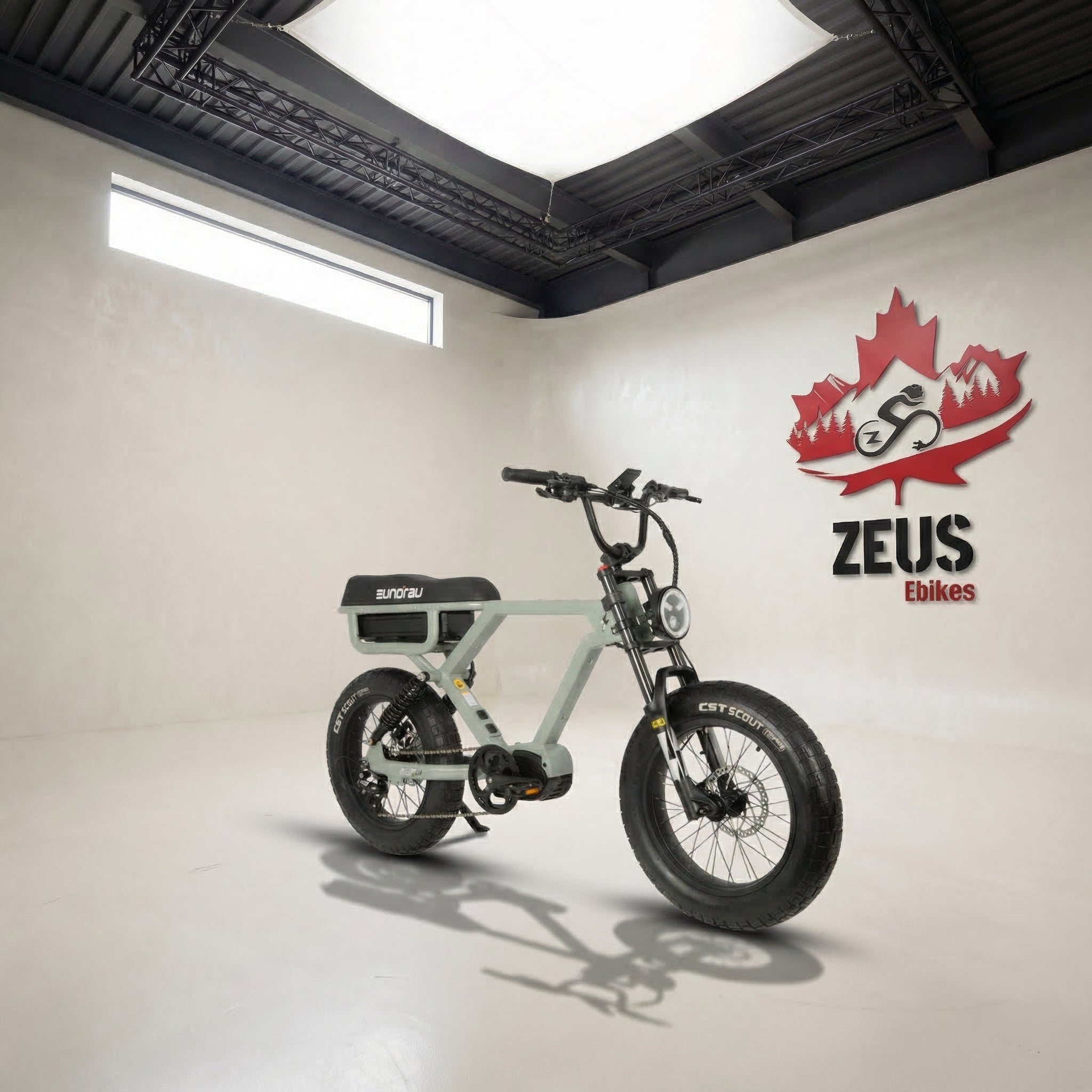 Eunorau Flash 1000W eBike — Mid-Drive 220Nm, AWD & Rear – Zeus