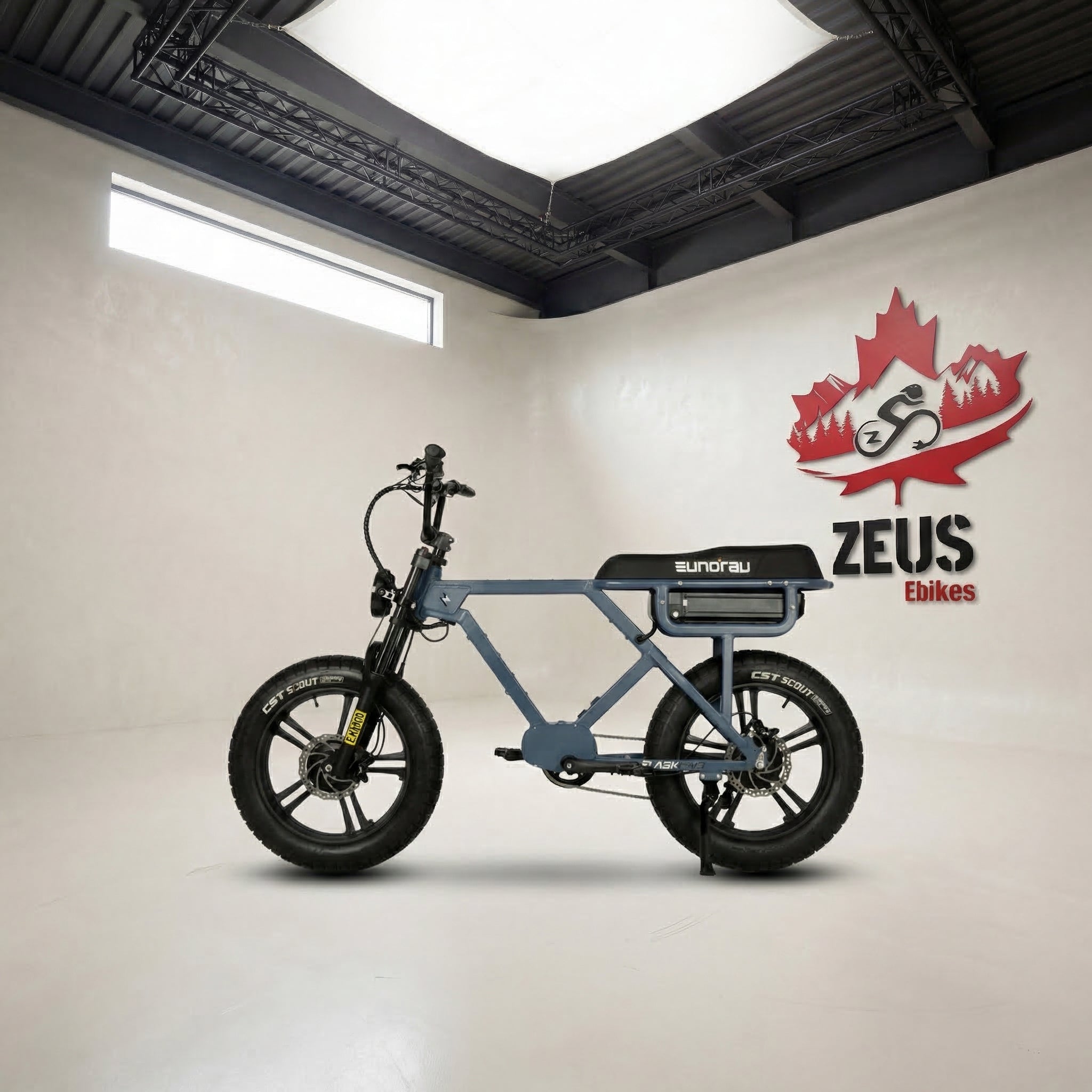 Eunorau Flash Ebike 1000W