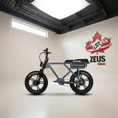 Eunorau Flash Ebike 1000W