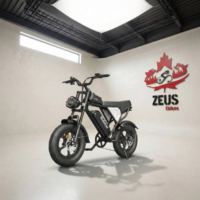 Ridstar Q16 1500W