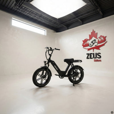 Himiway Escape Pro Long Range Moped-Style Electric Bike