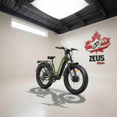 FREESKY Ranger M-540 Dual-Motor Step-Thru Electric Bike (48V 25Ah, 3500W Peak)