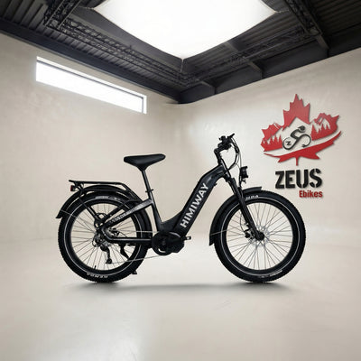 FREESKY Wild Cat Ultra A-340 – Full Suspension Step-Thru Fat Tire eBike (48V 25Ah)