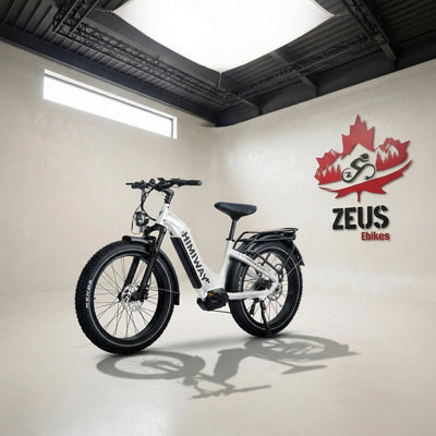 Himiway D5 Pro ST (Zebra Pro ST) — 500W Torque-Sensing Mid-Drive Fat Tire eBike