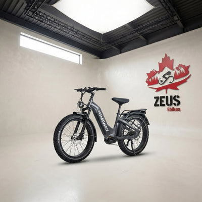 Himiway D5 Pro ST (Zebra Pro ST) — 500W Torque-Sensing Mid-Drive Fat Tire eBike