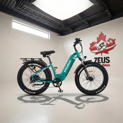 Taubik Tour Step-Through Fat Tire eBike