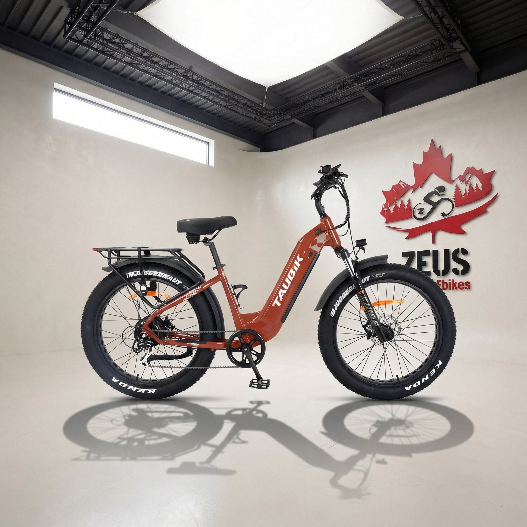 Taubik Tour Step-Through Fat Tire eBike