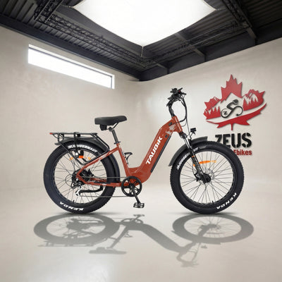 Taubik Tour Step-Through Fat Tire eBike