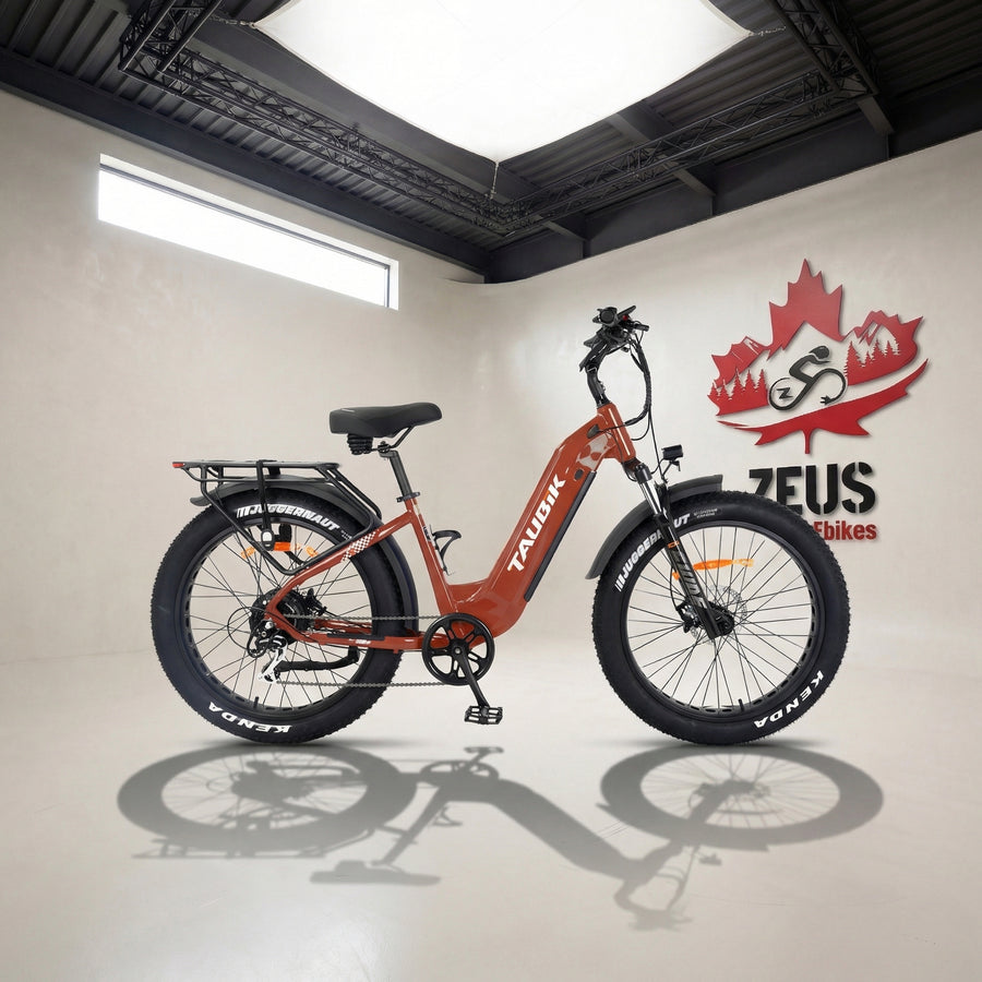 Canadian Electric Bikes — 10 Models Designed in Canada – Zeus Ebikes Canada