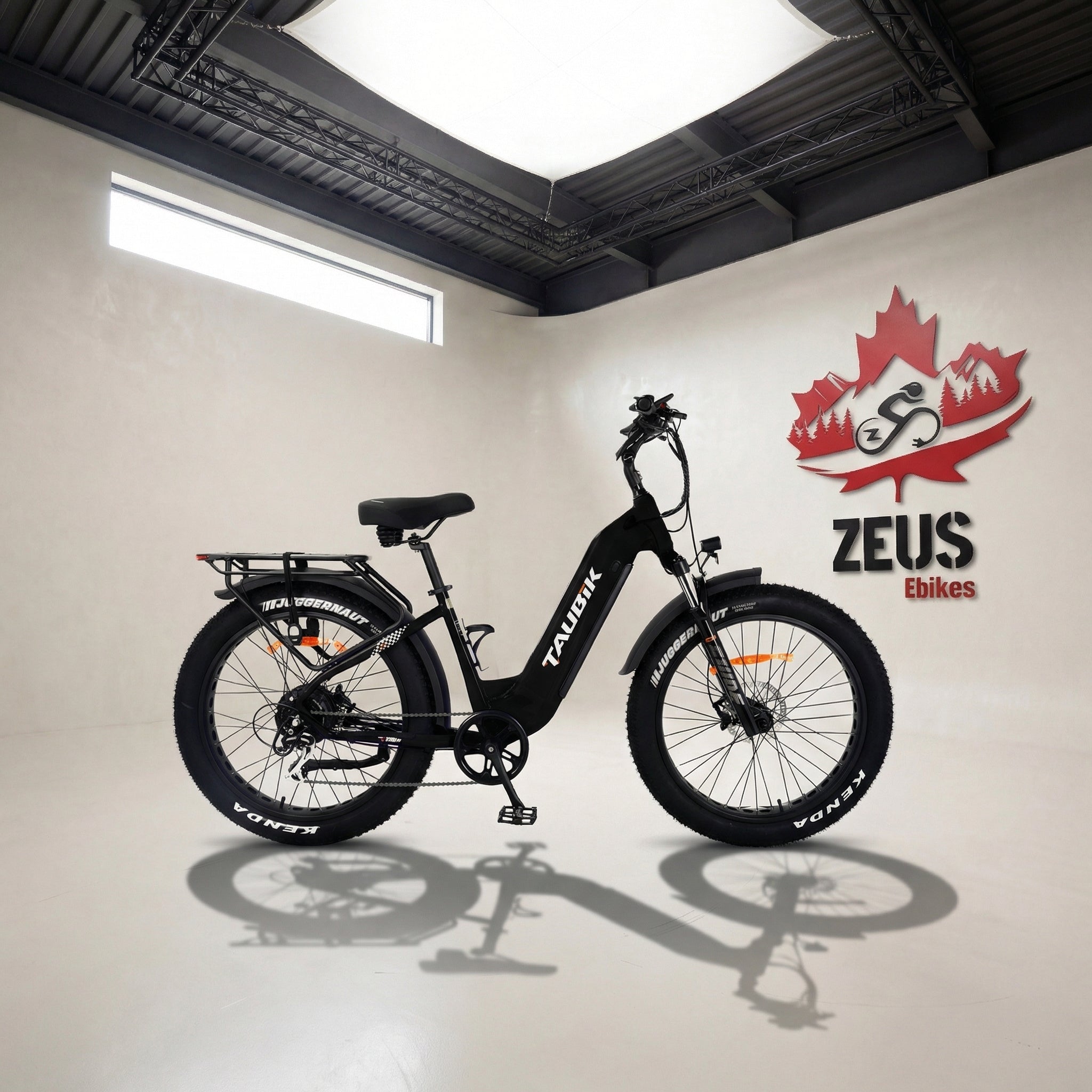 Taubik Tour Step-Through Fat Tire eBike