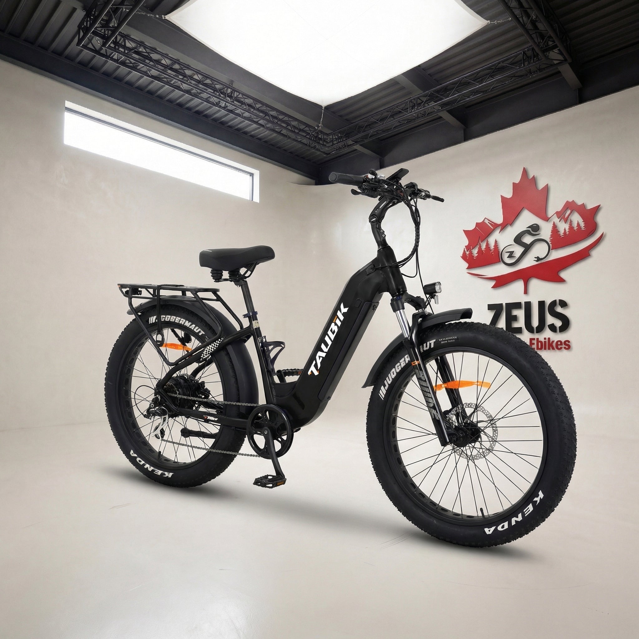Taubik Tour Step-Through Fat Tire eBike