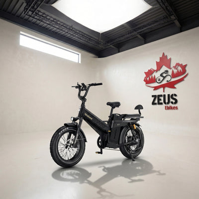 Tesway X7 Pro Fat Tire Electric Bike
