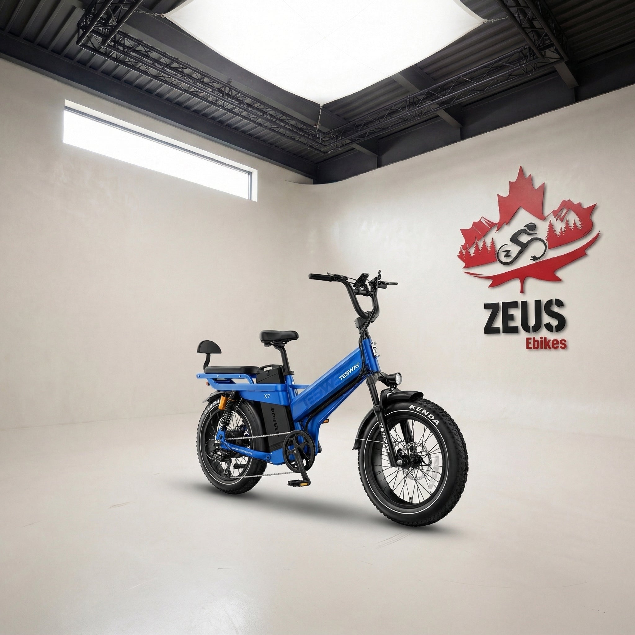 Tesway X7 Pro Fat Tire Electric Bike