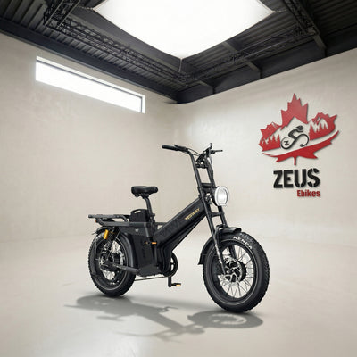 Tesway X7 AWD Dual Motor Electric Bike