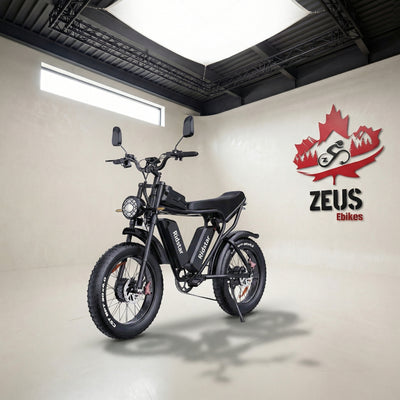 Ridstar Q20 Pro Dual Motor 2000W Retro Ebike