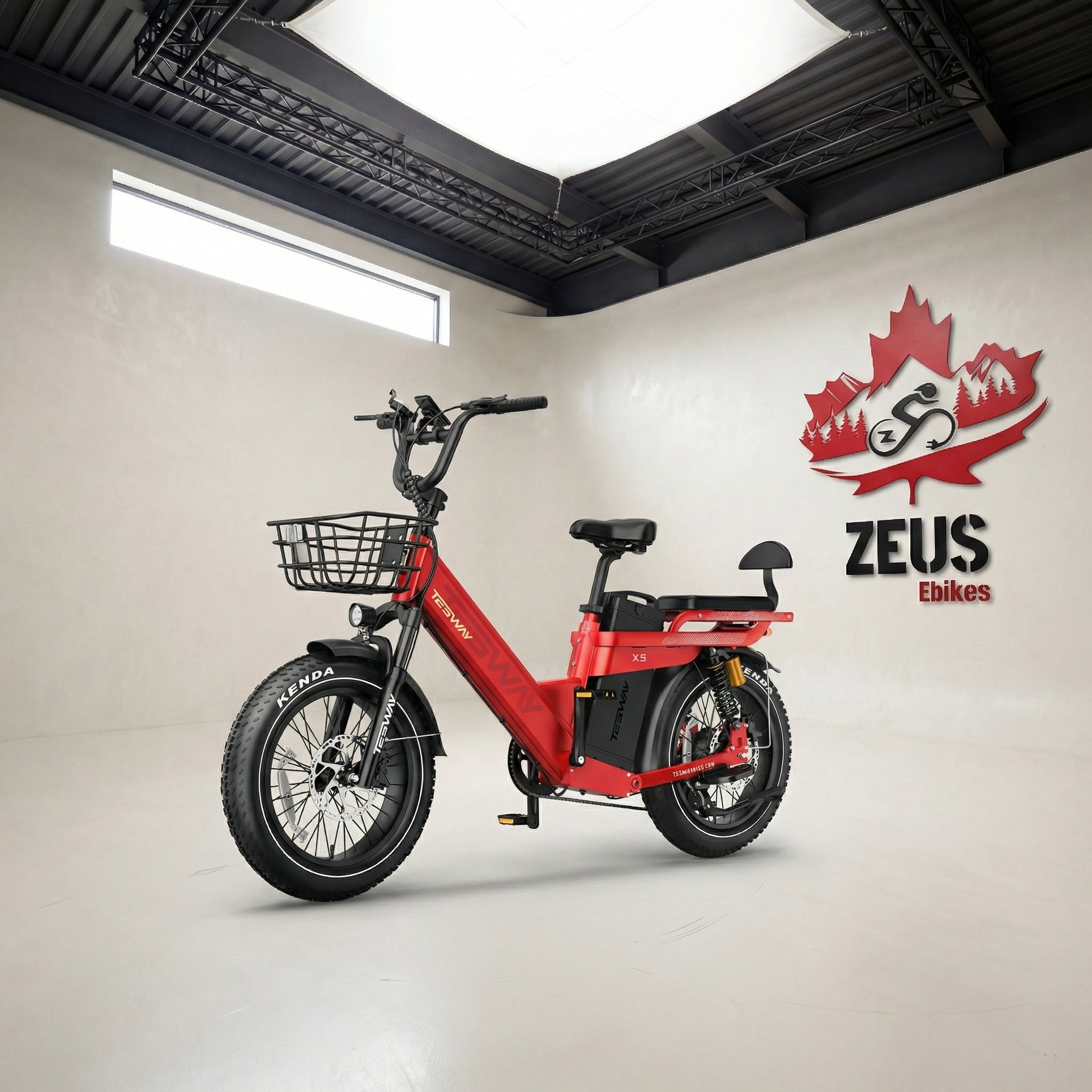 Tesway X5 Pro Step-Thru Cargo eBike