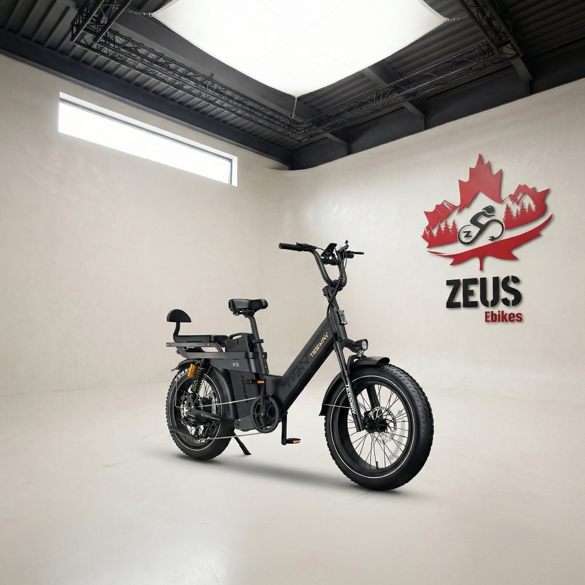 Tesway X5 Pro Step-Thru Cargo eBike