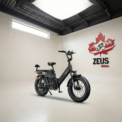 Tesway X5 Pro Step-Thru Cargo eBike