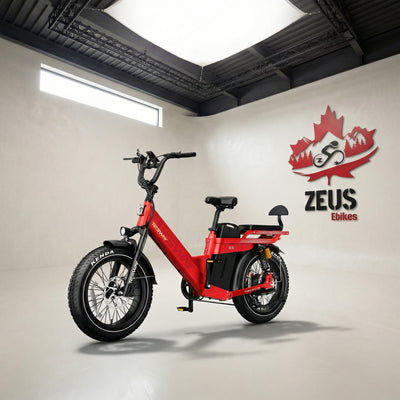 Tesway X5 Pro Step-Thru Cargo eBike