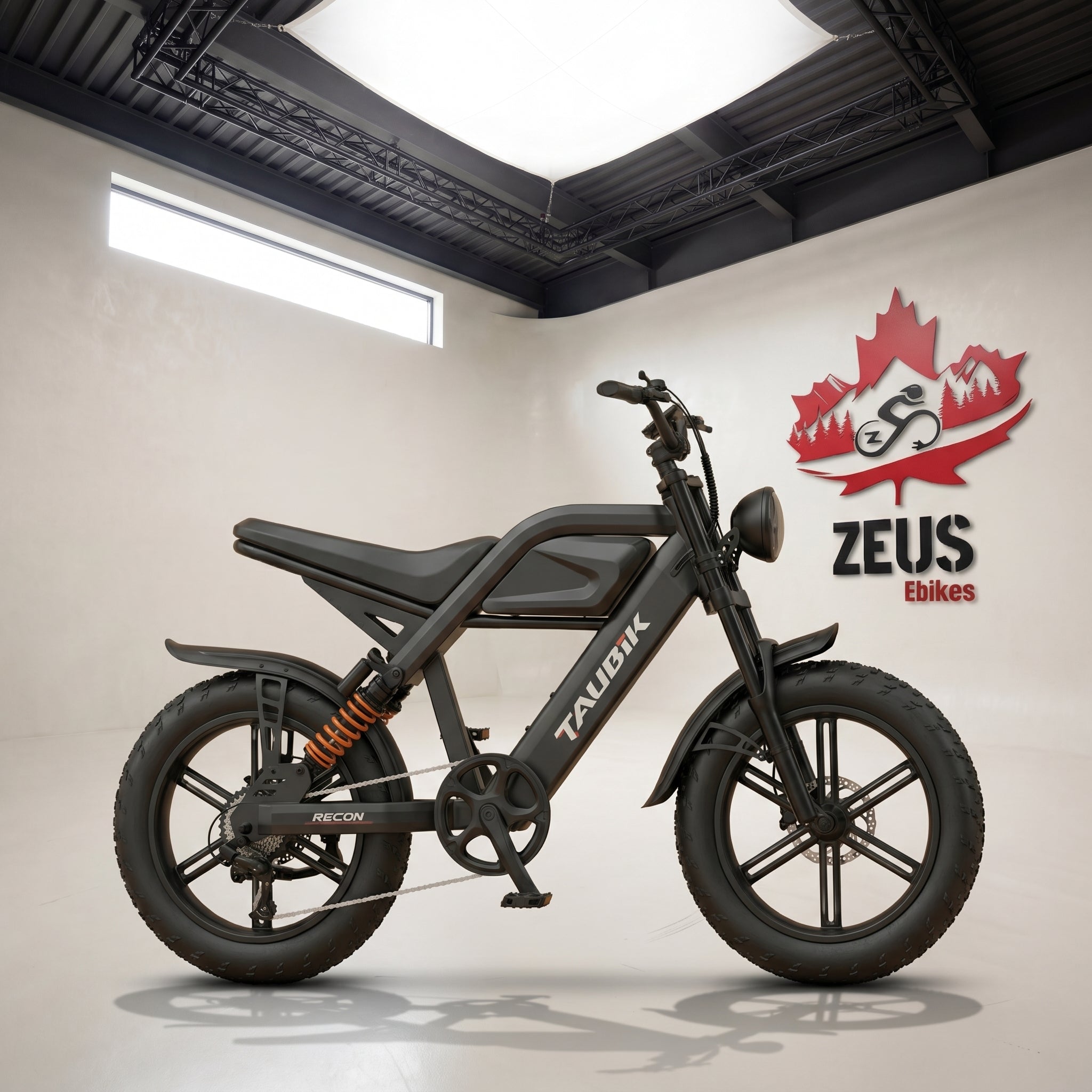 RENBee Taubik Recon — 1000W Bafang, 960 Wh Canadian Fat Cruiser – Zeus