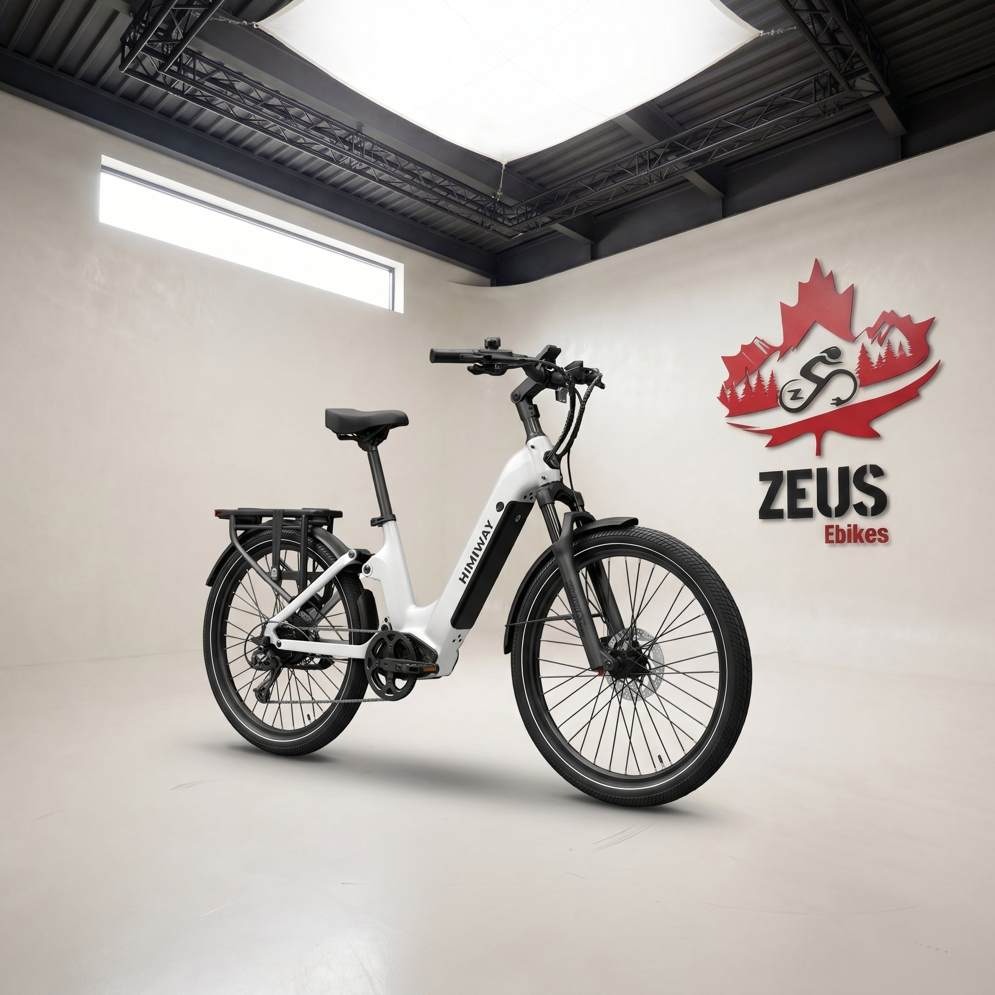 Himiway Escape & Big Dog 750W Brushless Gear Hub Motor – Zeus