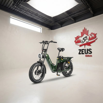 Tesway X5 AWD Step-Thru Dual-Motor Electric Bike