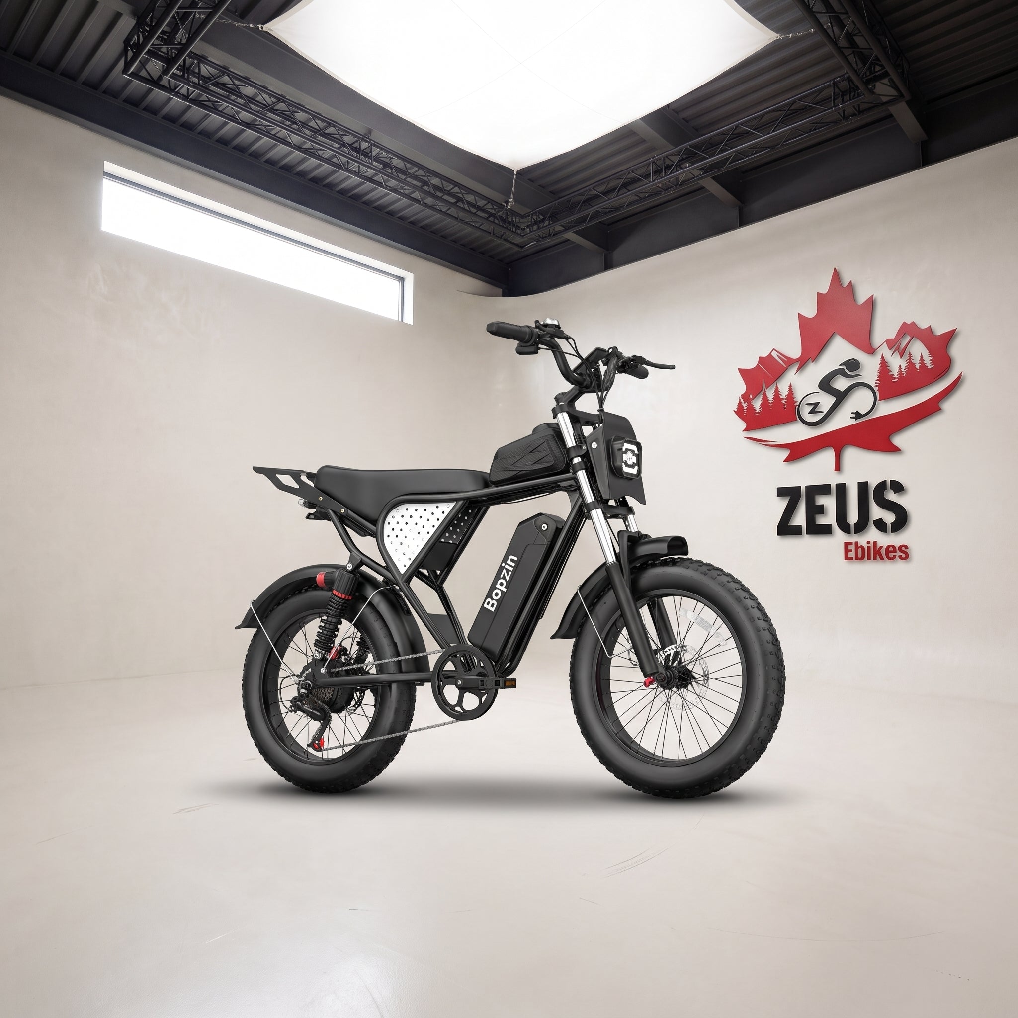 YVY C22